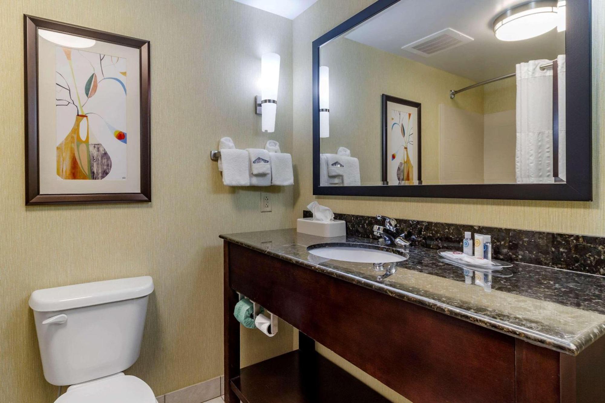 Comfort Suites Knoxville West - Farragut Экстерьер фото